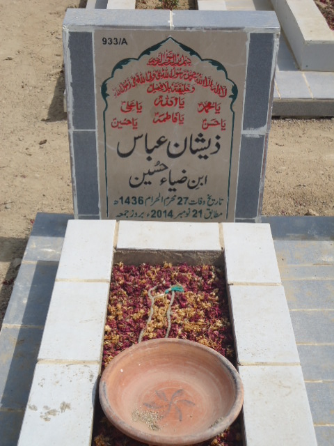 10933 – Zeeshan Abbas