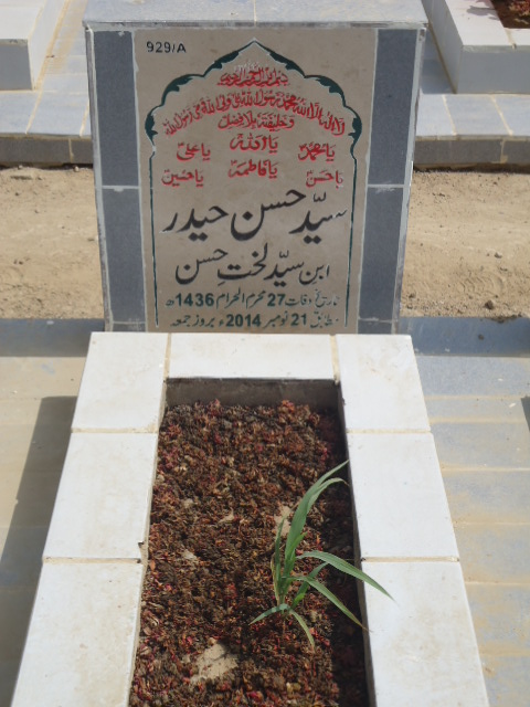 10929 – Syed Hasan Haider