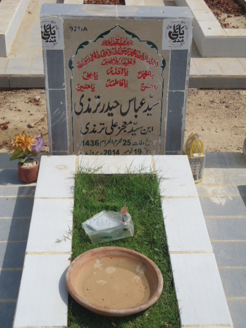 10921 – Syed Abbas Haider Termizi
