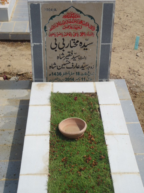 11004 – Syeda Mukhtar Bibi