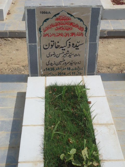 11008 – Syeda Zakiya Khatoon