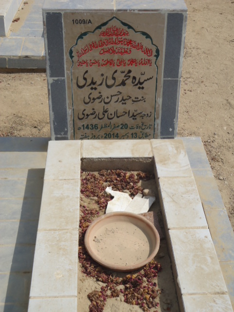 11009 – Syeda Muhammadi Zaidi