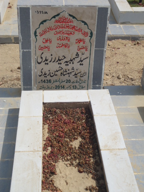 11011 – Syed Shabhi Haider Zaidi