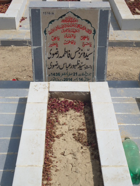 11016 – Syeda Nargis Fatima Rizvi
