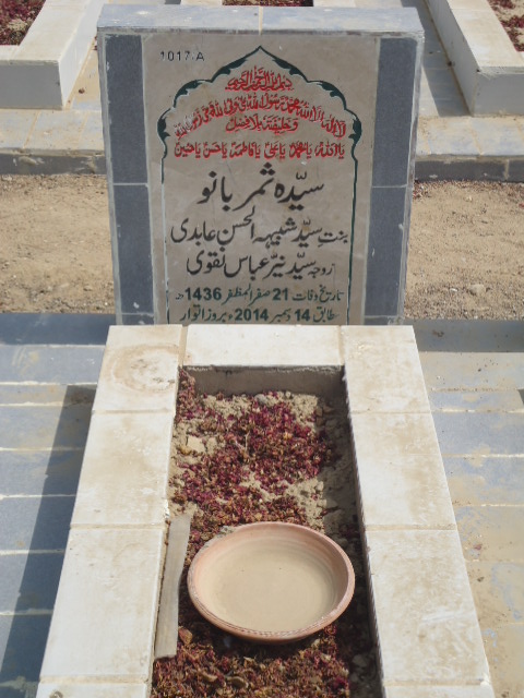 11017 – Syeda Samar Bano