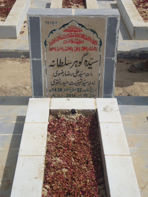 11018 – Syeda Gohar Sultana
