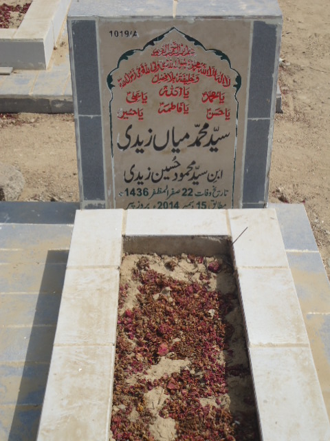 11019 – Syed Muhammad Mian Zaidi