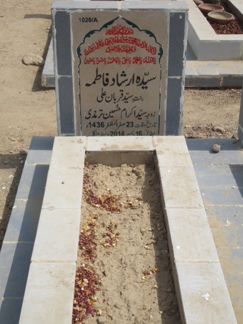 11020 – Syeda Irshad Fatima