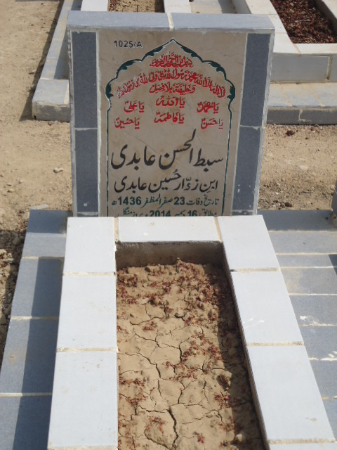 11025 – Sibtul Hasan Abidi