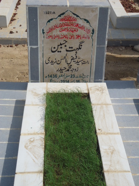11027 – Nighat Jabeen