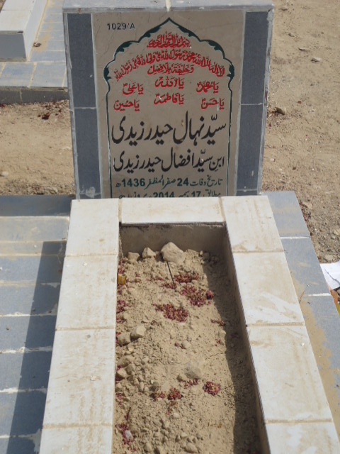 11029 – Syed Nehal Haider Zaidi