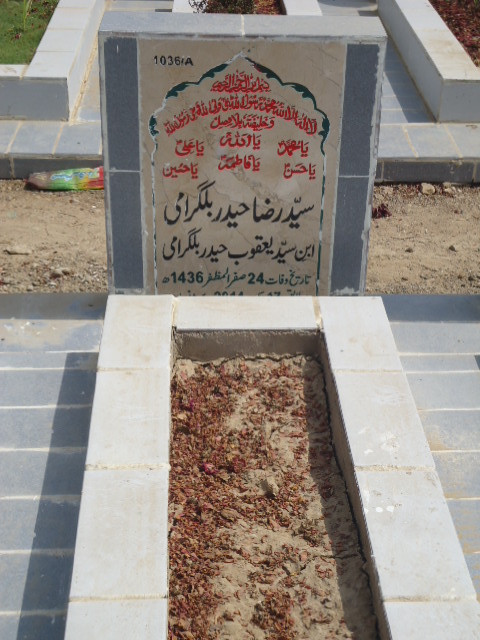 11036 – Syed Raza Haider Bilgirami