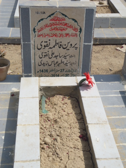 11041 – Parveen Fatima Naqvi