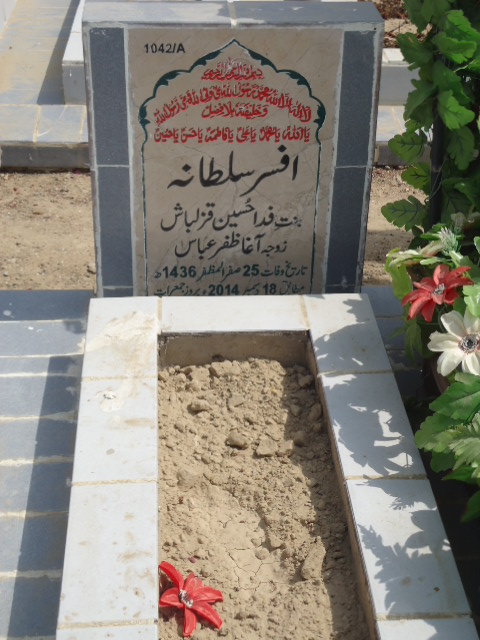 11042 – Afsar Sultana