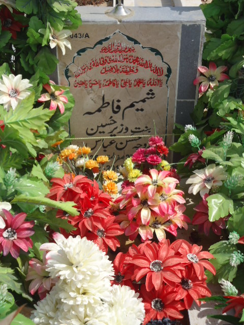 11043 – Shamim Fatima