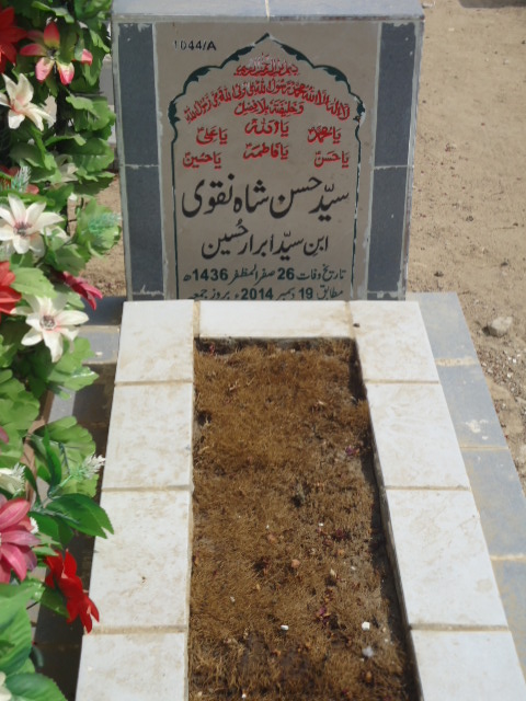 11044 – Syed Hasan Shah Naqvi