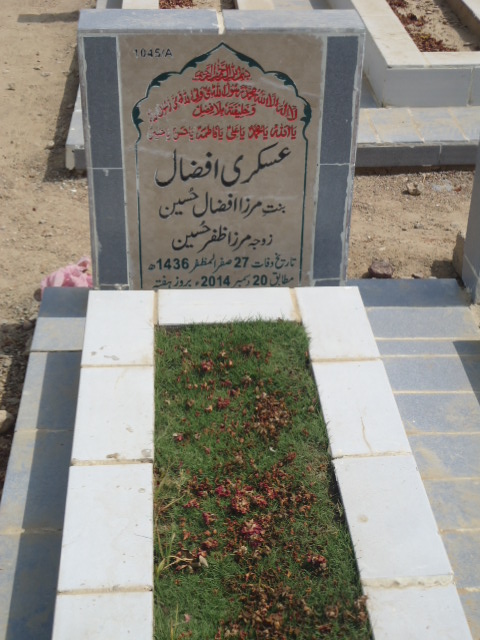 11045 – Askari Afzaal