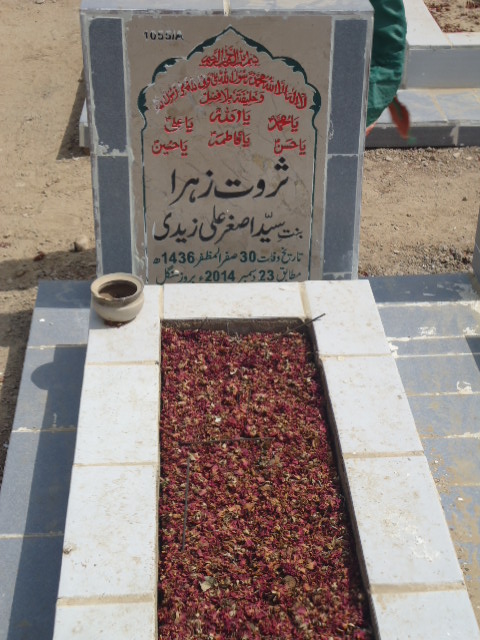11055 – Sarwat Zehra