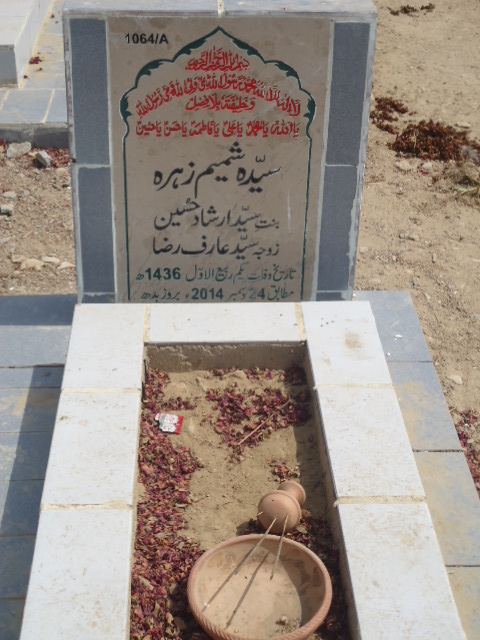11064 – Syeda Shamim Zehra