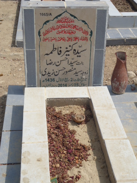 11065 – Syeda Kaneez Fatima