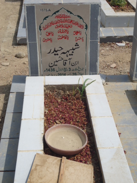 11070 – Shabhi Haider
