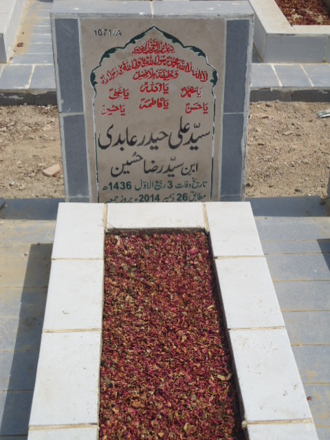 11071 – Syed Ali Haider Abidi