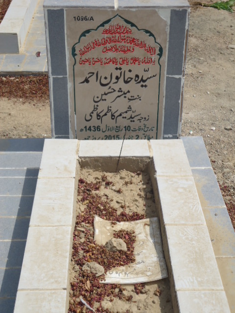 11096 – Syeda Khatoon Ahmed