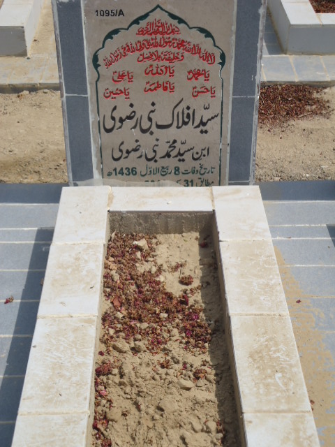 11095 – Syed Aflak NAbi Rizvi