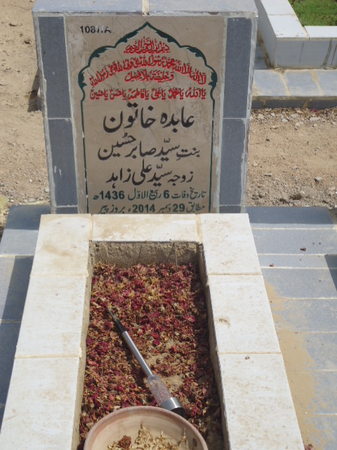 11087 – Abida Khatoon