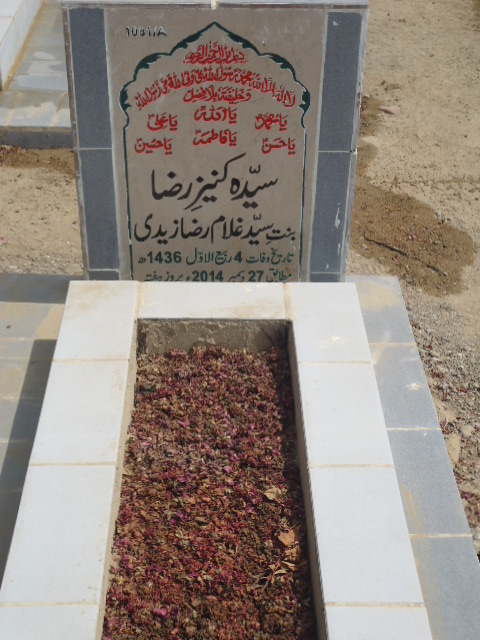 11081 – Syeda Kaneez Raza