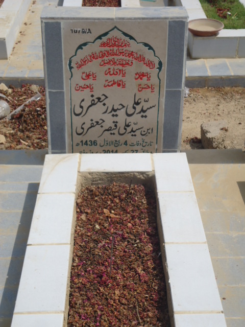 11079 – Syed Ali Haider Jaffery