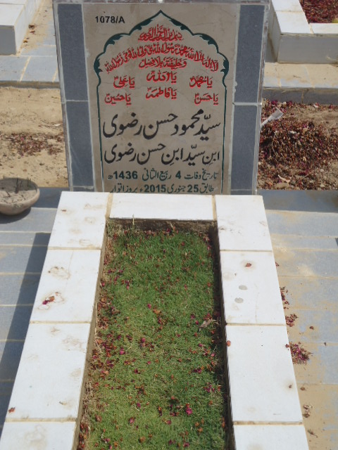 11078 – Syed Mehmood Hasan Rizvi