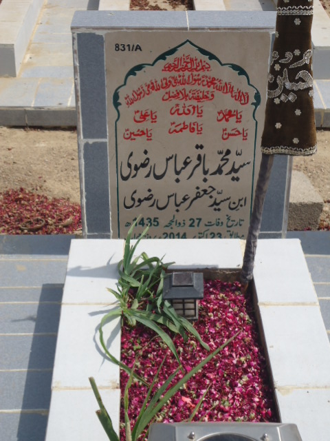 10831 – Syed Muhammad Baqar Abbas Rizvi
