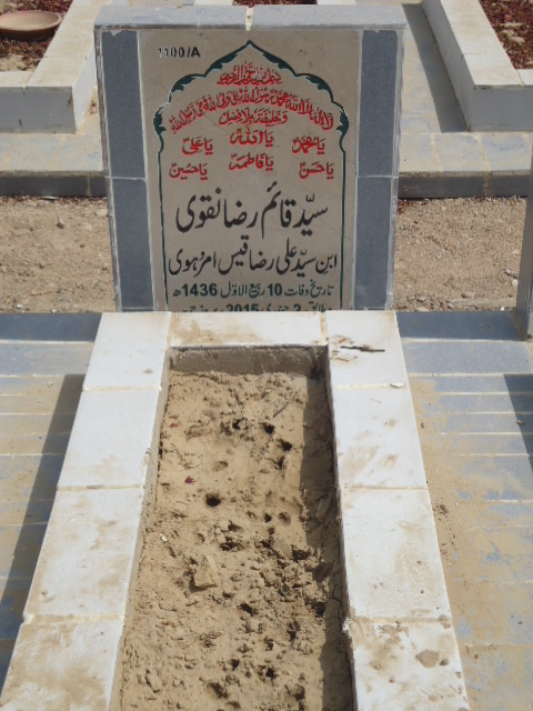 11100 – Syed Qaim Raza Naqvi
