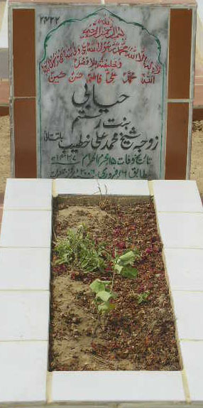 2422 – HAYABI D/O RUSTAM