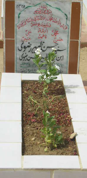 2425 – SYED HASAN ZAHEER RIZVI S/O SYED ZAHEER-UL-HASAN RIZVI