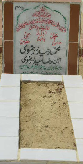 2435 – MOHD HAIDER RIZVI S/O RAZA HAIDER RIZVI