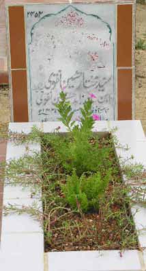 2454 – SYED MUKHTAR HUSSAIN NAQVI S/O SYED ZAHID HUSSAIN NAQVI