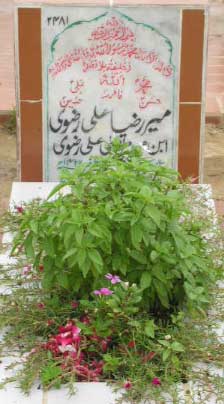 2481 – MIR RAZA ALI RIZVI S/O MIR MURTAZA ALI RIZVI