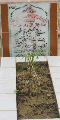 2482 – SYEDA NAEEM FATIMA D/O SYED TAUFEQ