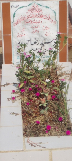 2604 – SYED RAZA HAIDER