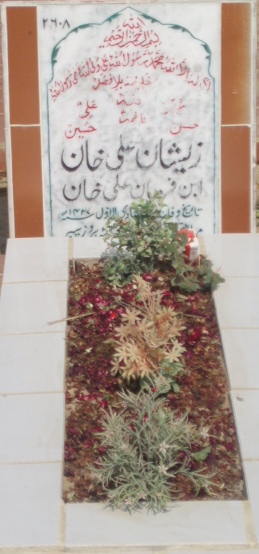 2608 – ZEESHAN ALI KHAN