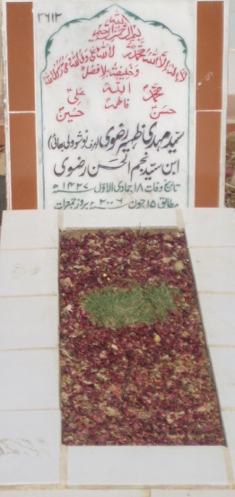 2613 – SYED MEHDI ZAHEER