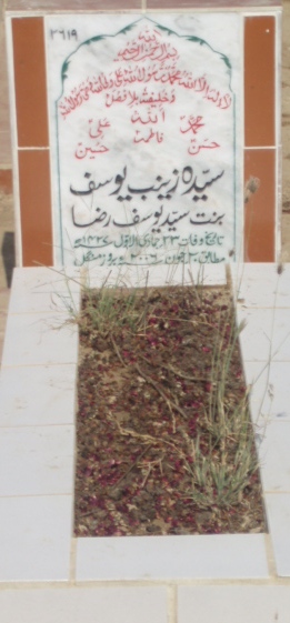 2619 – SYEDS ZAINAB YOUSAF