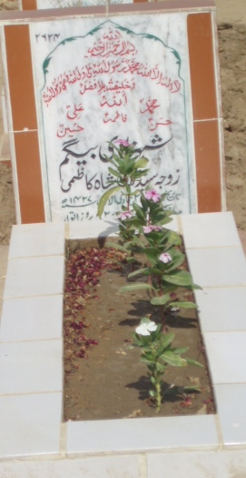 2624 – SHEHZADI BEGUM