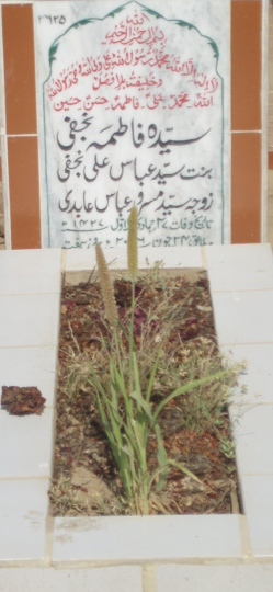 2625 – SYEDA FATIMA NAJAFI