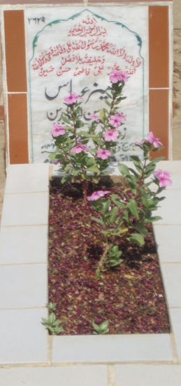 2629 – KANEEZ ABBAS