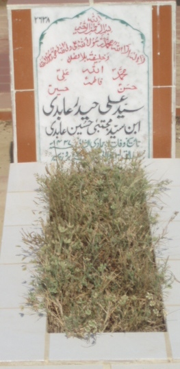 2638 – SYED ALI HAIDER ABIDI