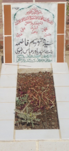 2652 – SYEDA TEHREEM FATIMA