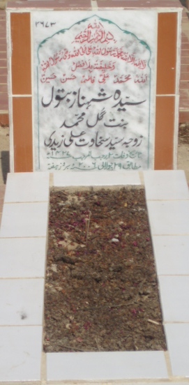 2673 – SYEDA SHEHNAZ BATOOL